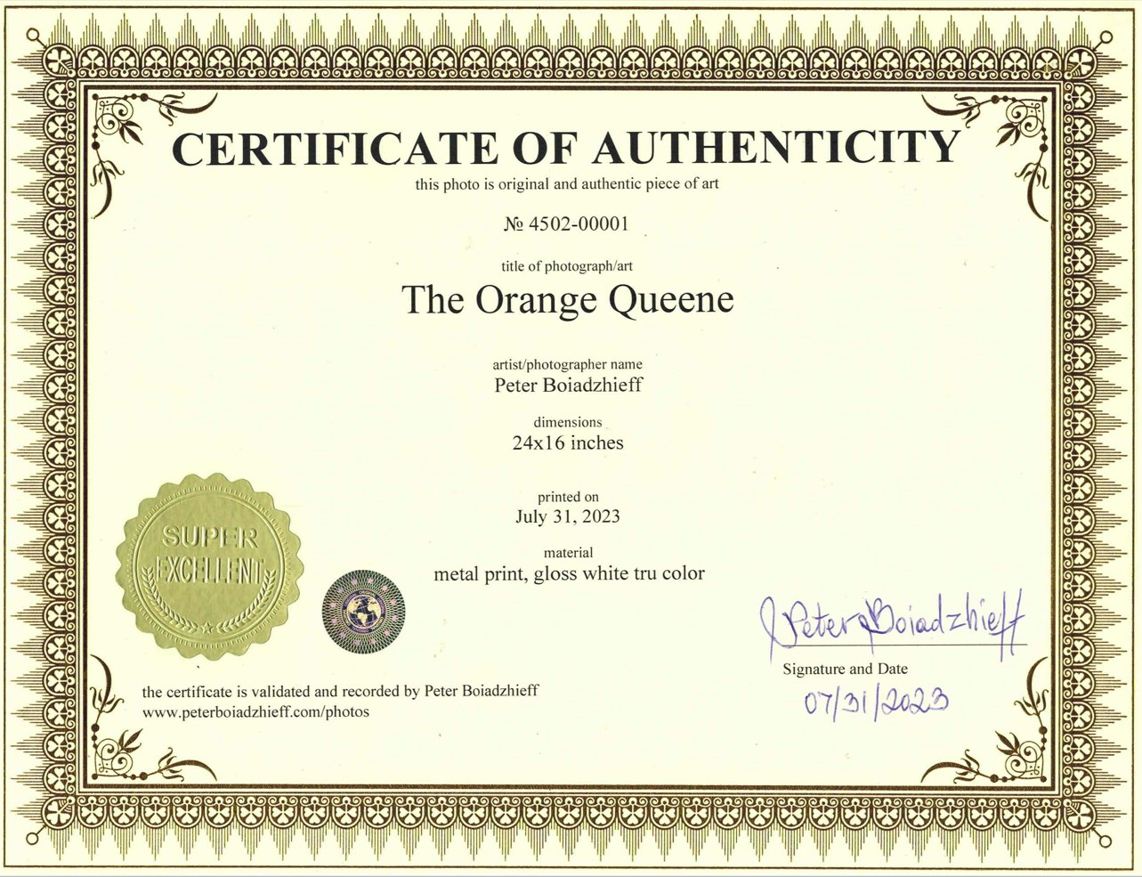 The Orange Queene metal print